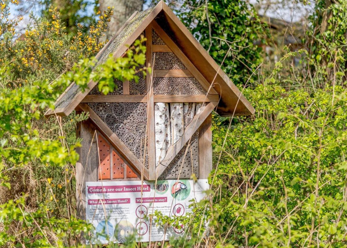 Wareham Forest Lodge Retreat Lytchett Minster Ngoại thất bức ảnh