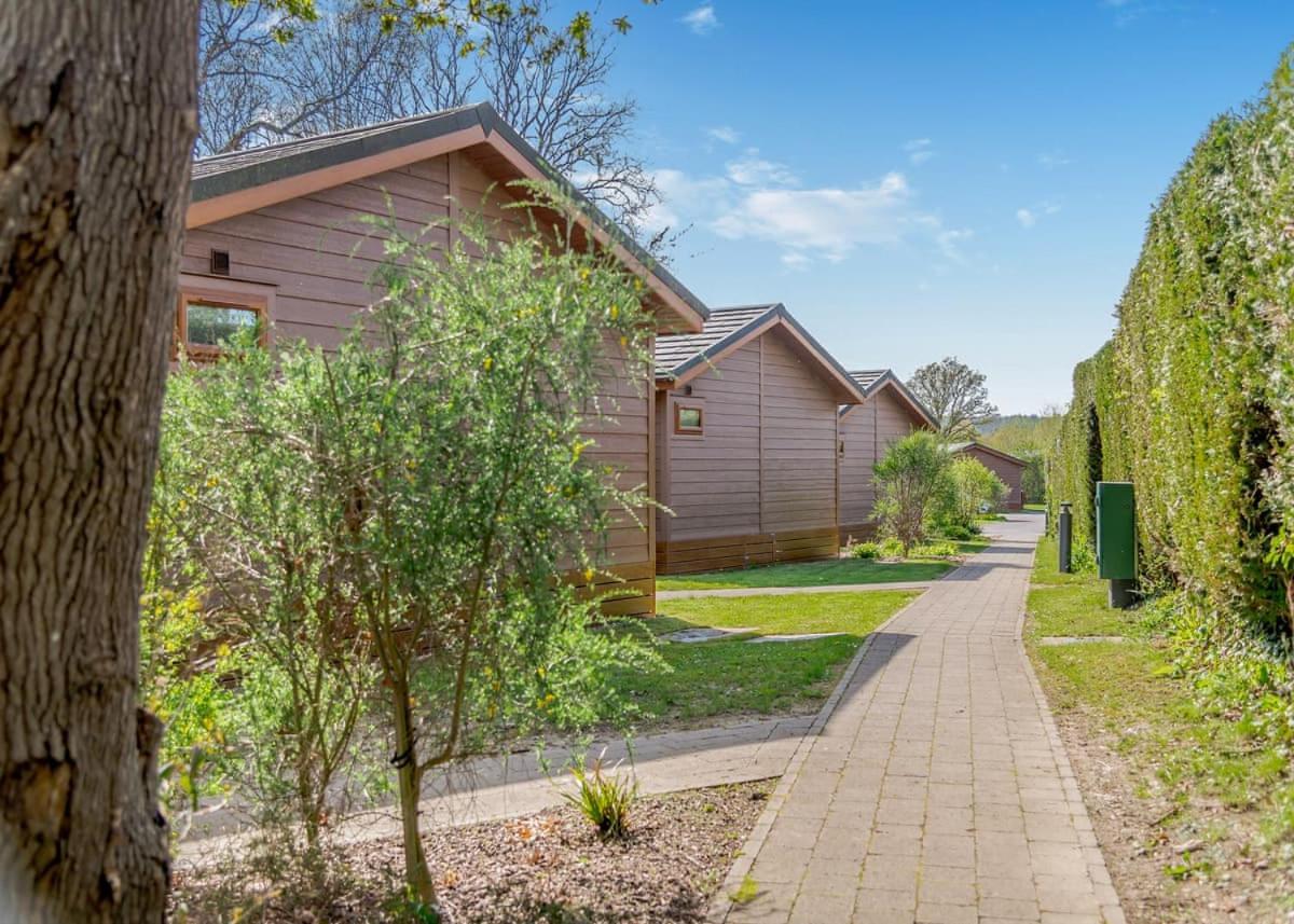 Wareham Forest Lodge Retreat Lytchett Minster Ngoại thất bức ảnh