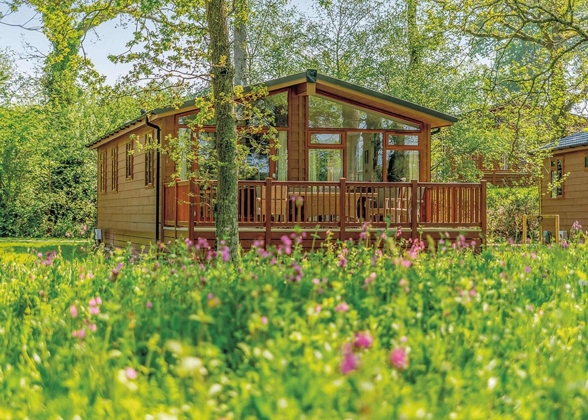 Wareham Forest Lodge Retreat Lytchett Minster Ngoại thất bức ảnh